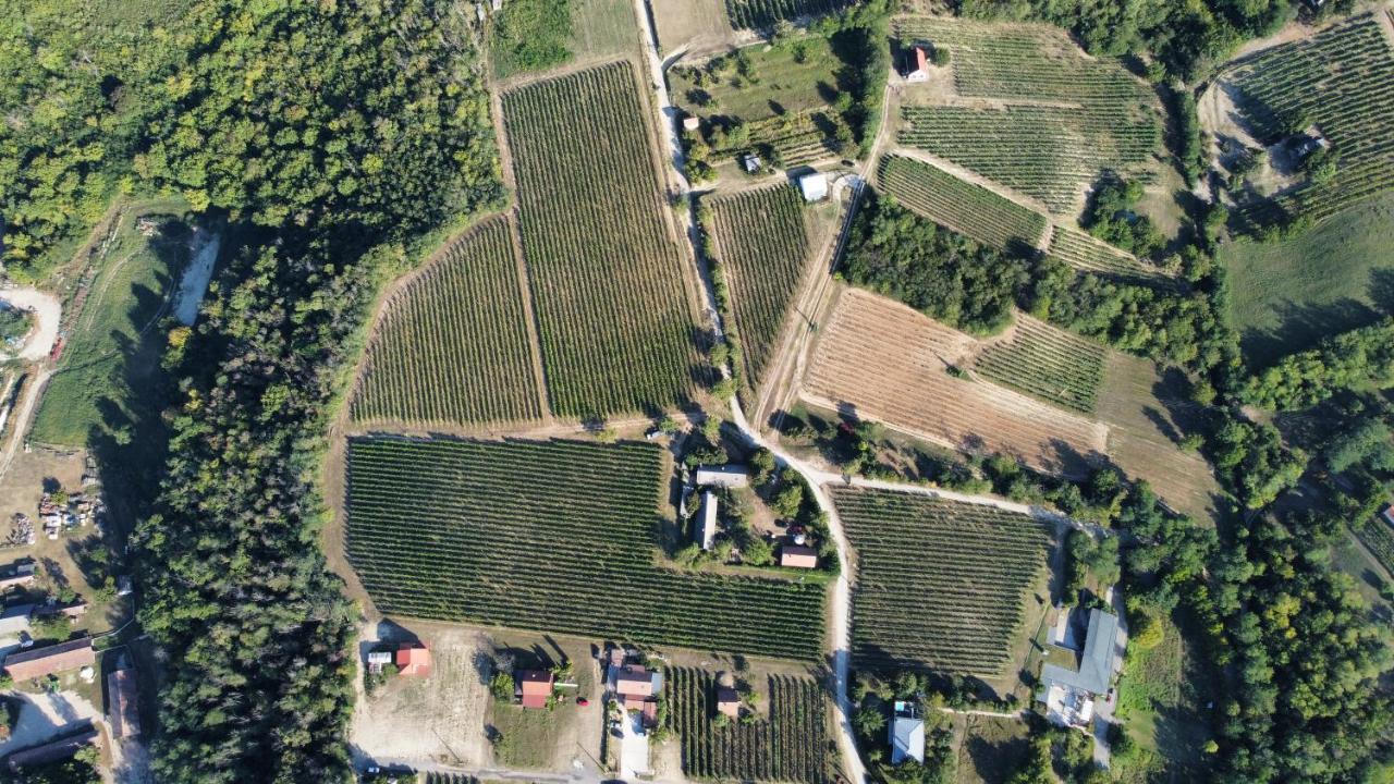 Lelle Vineyard Cottages Balatonlelle Kültér fotó